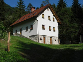 Geräumiges Ferienhaus inmitten der Natur